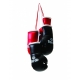Mini gants de boxe Daedo