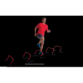 Ensemble de haies Pure2Improve Sprint