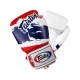GANTS D'ENTRAINEMENT FAIRTEX THAÏ PRIDE CUIR TOP