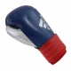 Gants de Boxe Hybrid 75