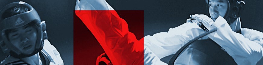 Protections Taekwondo