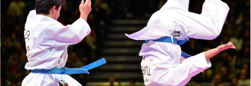 KARATÉ : VOTE POUR LES JO 2020